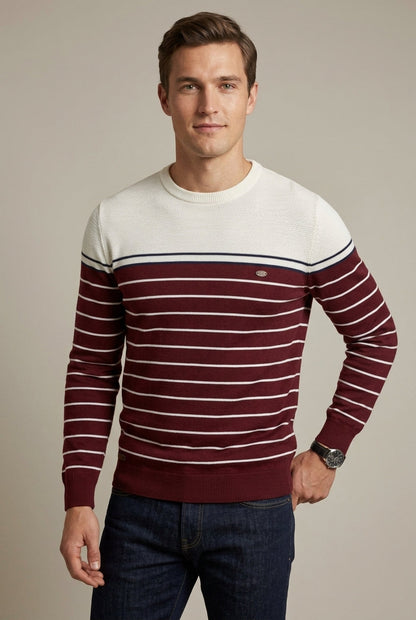 Men's Striped Crew Neck Sweater